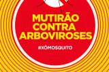 Mutirão de Combate às Arboviroses chega ao Jardim São Paulo neste fim de semana em Juazeiro