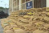 Cachorros localizam bunker com quase 50 toneladas de maconha e arsenal de guerra