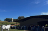 Casa Branca recebe estudantes de medicina veterinária para imersão em melhoramento genético na pecuária 