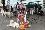 Castramóvel atende mais de 250 animais em Lagoa Grande