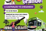 Em parceria com Governo do Estado, Prefeitura de Lagoa Grande traz Castramóvel gratuito dias 11 e 12