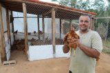 Governo da Bahia entrega 40 galinheiros e fortalece produção de ovos caipiras em Macajuba