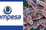 Secretária de Educação de Quipapá denuncia Compesa por contaminação de água por coliformes fecais