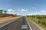 Motociclista morre após atropelar animal na BR-116