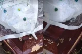 Caixão atacado a tiros em cemitério na Bahia é enterrado sem nova perícia; família adiantou sepultamento