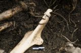 Tumba com restos humanos e oferendas cerimoniais é descoberta em sítio pré-inca de Kuélap, no Peru