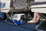 Companhia aérea é condenada a pagar R$ 8mil por impedir passageiro de viajar com cão de suporte