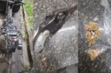 Troca de tiros entre policiais e suspeitos de desmanche de motocicletas deixa um morto em PE