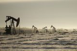Descoberta de petróleo no Ceará vira corrida por terreno e dono do sítio toma decisão surpreendente