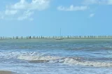 Exploração de terras raras no Brasil começou na Bahia