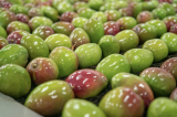 Crises globais pressionam custos, exportações e consumo na fruticultura brasileira Crises globais pressionam custos, exportações e consumo na fruticultura brasileira