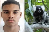 Raiva humana provocou morte de adolescente após mordida de sagui