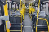 Prefeito é detonado após postar vídeo em ônibus quase vazio: “Aqui em São Marcos, é o pior transporte”