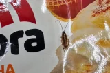 Barata é flagrada por cliente andando sobre lasanhas em freezer de supermercado