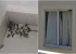 Invasão de vespas assusta moradores e leva prefeitura a emitir alerta em cidade baiana