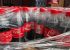 Furtos de figurinhas da Coca-Cola: empresa substitui produtos e mercados reforçam segurança Furtos de figurinhas da Coca-Cola: empresa substitui produtos e mercados reforçam segurança