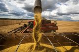 Plano da China por autossuficiência alimentar ameaça o agro brasileiro