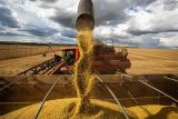 Plano da China por autossuficiência alimentar ameaça o agro brasileiro