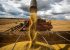 Plano da China por autossuficiência alimentar ameaça o agro brasileiro
