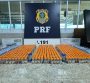 PRF apreende drogas e centenas de ampolas de medicamentos em ônibus na BR-116