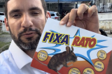 Ratos em hospital