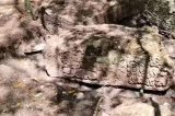 Arqueólogos descobrem cidade maia intacta e perdida há mais de mil anos no México Arqueólogos descobrem cidade maia intacta e perdida há mais de mil anos no México
