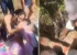 Mulher desaparecida há cinco dias é encontrada com vida dentro de cisterna na Bahia