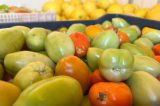 Doação de produtores rurais fortalece ações da Prefeitura de Lagoa Grande no combate à insegurança alimentar