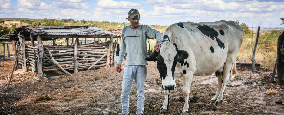 Governo da Bahia fortalece cadeia do leite e transforma a vida de agricultores familiares em Correntina