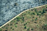 Projeto de lei da bancada ruralista amplia desmatamento sob pretexto da agricultura familiar
