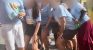 Denúncia aponta uso de camisetas, bonés e distribuição de cerveja a simpatizantes de ACM Neto no 2 de Julho