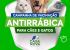 Casa Nova inicia campanha de vacinação antirrábica para cães e gatos nesta terça-feira (21) Casa Nova inicia campanha de vacinação antirrábica para cães e gatos nesta terça-feira (21)