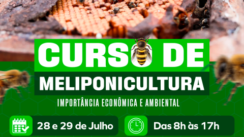 Prefeitura de Casa Nova fortalece produção de mel e preservação de abelhas nativas com curso gratuito de meliponicultura