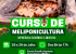 Prefeitura de Casa Nova fortalece produção de mel e preservação de abelhas nativas com curso gratuito de meliponicultura