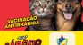 Juazeiro realiza Dia D de Vacinação Antirrábica neste sábado (25), na Praça da Bandeira