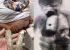 Idosa é presa ao tentar entrar com drogas no Conjunto Penal de Irecê