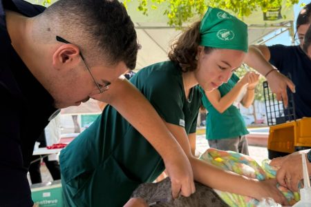 Mais de 500 animais são vacinados no Dia D da Campanha Antirrábica em Juazeiro