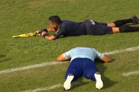 Ataque de abelhas interrompe final do Baianão em Feira de Santana