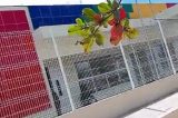 Trabalhadores denunciam atraso de pagamentos em obra de creche estadual em Belém de Maria Trabalhadores denunciam atraso de pagamentos em obra de creche estadual em Belém de Maria