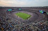 Fifa vende pedaços do gramado da final da Copa do Mundo por R$ 2,3 mil Fifa vende pedaços do gramado da final da Copa do Mundo por R$ 2,3 mil